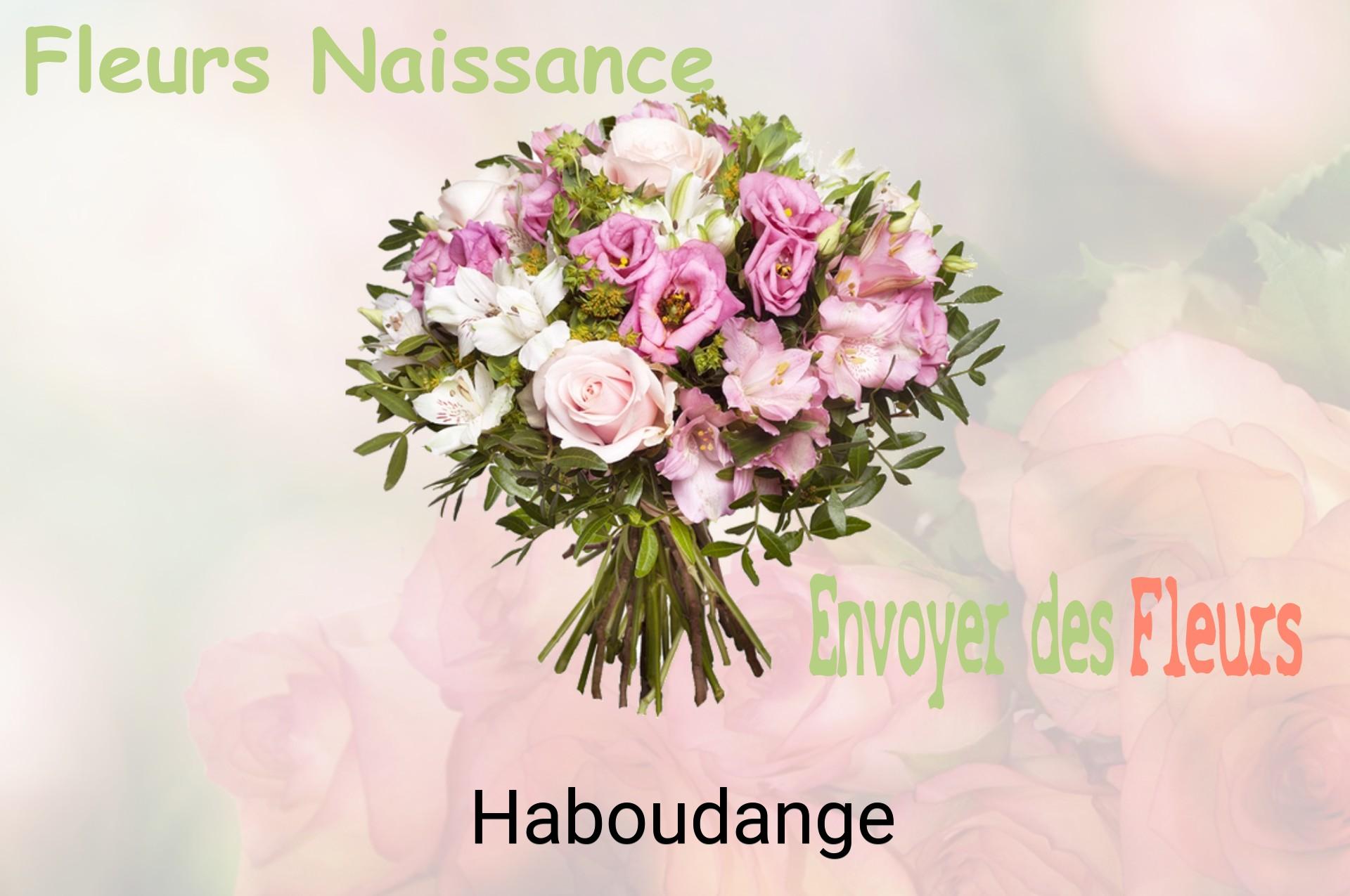 Bouquet de fleurs de naissance livré à Haboudange