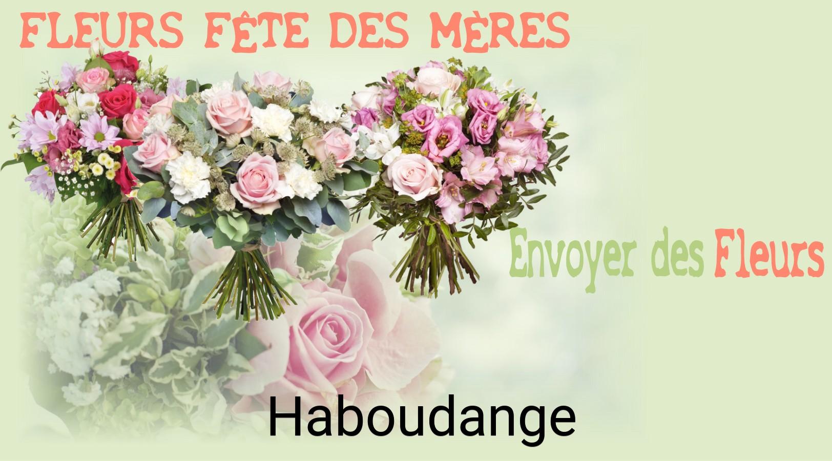Bouquet de Fête des Mères livré à Haboudange
